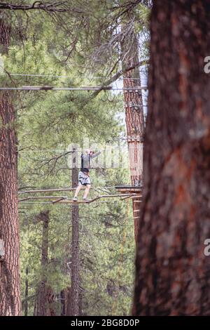 Homme traversant haut cordes obstacle parcours dans les bois Banque D'Images