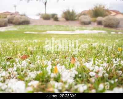 Tempête de grêle dans le désert d'Arizona Banque D'Images