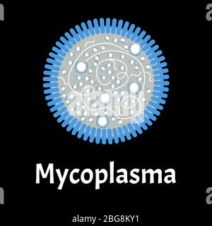 Mycoplasma. Infections bactériennes Mycoplasma. Maladies sexuellement transmissibles. Infographies. Illustration vectorielle sur un arrière-plan isolé. Illustration de Vecteur