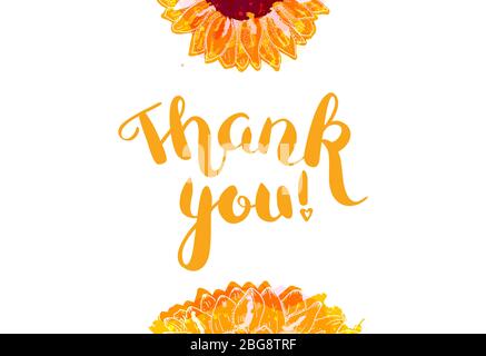 Merci carte vectorielle avec des tournesols aquarelles et lettrage Illustration de Vecteur