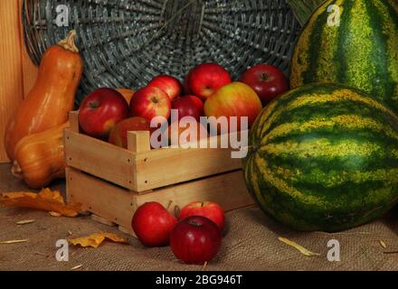 Pommes en caisse avec pastèques et citrouilles sur toile de fond en osier Banque D'Images