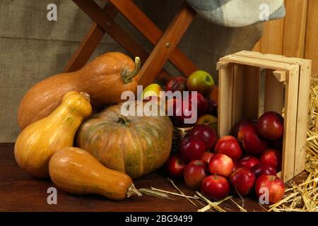 Pommes en caisse et citrouilles sur planche en bois sur fond de toile de racklaque Banque D'Images