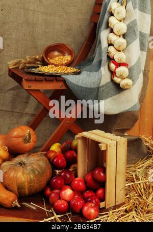 Pommes en caisse et citrouilles sur planche en bois et chaise sur fond de toile de rackée Banque D'Images