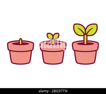 Illustration de la bande dessinée de la plante bébé. Mignonne petite plante en pot à différents stades, isolé vectoriel clip art. Illustration de Vecteur