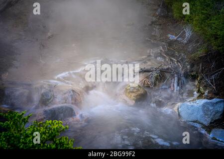 La vapeur s'élève du lac Boiling, du parc Kuirau, de Rotorua, de l'île du Nord, en Nouvelle-Zélande Banque D'Images