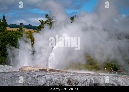 Pohutu Geyser, vallée de Whakarewarewa, Rotorua, Île du Nord Nouvelle-Zélande Banque D'Images