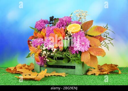 Composition des fleurs en caisse avec feuilles jaunes sur l'herbe sur fond lumineux Banque D'Images