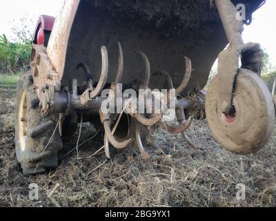 Coupe-lames pour mini-tracteur cultivateur sur un jardin labouré. Pinces coupantes de gros plan Banque D'Images