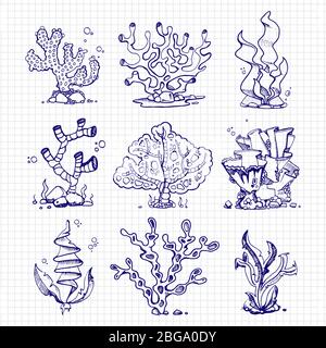 Stylo bille qui dessine des algues, des coraux, des plantes sous-marines sur la page du bloc-notes. Illustration vectorielle Illustration de Vecteur