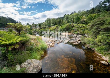 Vue sur la gorge de Karangahake depuis la promenade de Karangahake Windows, Waikino, Île du Nord Nouvelle-Zélande Banque D'Images
