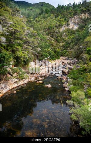 Vue sur la gorge de Karangahake depuis la promenade de Karangahake Windows, Waikino, Île du Nord Nouvelle-Zélande Banque D'Images