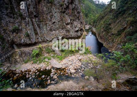 Vue sur la gorge de Karadahake depuis la promenade de Karandahake Windows, Waikino, Île du Nord Nouvelle-Zélande Banque D'Images