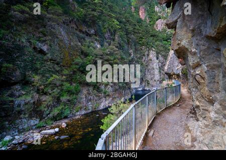 Vue sur la gorge de Karangahake depuis la promenade de Karangahake Windows, Waikino, Île du Nord Nouvelle-Zélande Banque D'Images