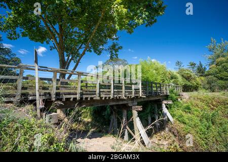 Pont en bois sur la rivière Ohinemuri sur la piste ferroviaire d'Hauraki, île du Nord, Nouvelle-Zélande Banque D'Images