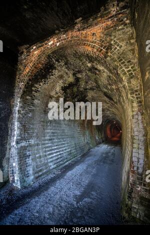 Tunnel ferroviaire de Karangahake sur la piste ferroviaire de Hauraki, île du Nord, Nouvelle-Zélande Banque D'Images