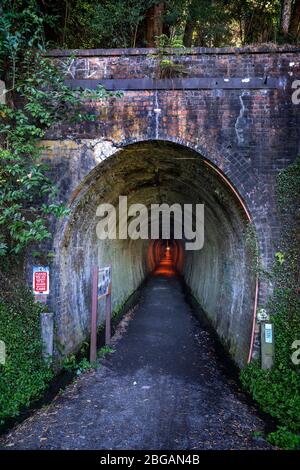 Tunnel ferroviaire de Karangahake sur la piste ferroviaire de Hauraki, île du Nord, Nouvelle-Zélande Banque D'Images