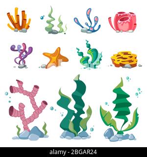 Algues vives décoration aquarium scénario de dessin animé isolé sur fond blanc. Algues pour aquarium, illustration de la flore aquatique sous-marine Illustration de Vecteur