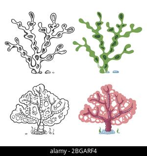 Page de coloration aux algues avec échantillon lumineux - corail et plante sous-marine isolé sur fond blanc. Illustration vectorielle Illustration de Vecteur