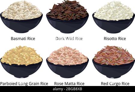 Type de riz différent. Grain long, marron, blanc et autre. Illustrations vectorielles en style dessin animé Illustration de Vecteur