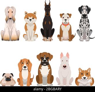 Des illustrations de chiens rigoles dans un style de dessin animé. Animaux domestiques Illustration de Vecteur