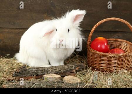 Lapin blanc mignon avec pommes dans le panier, sur le foin Banque D'Images