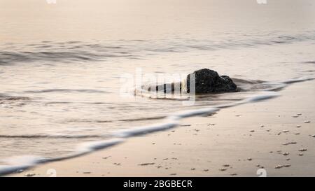 Image des vagues se lavant sur les rochers au lever du soleil à l'aide d'une vitesse d'obturation lente Banque D'Images