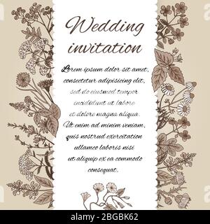 Modèle d'invitation de mariage dans un style vintage. Il y a un emplacement pour le texte. Décoration d'invitation à base d'herbes dessinées à la main et de fleurs différentes dans un sépia Illustration de Vecteur