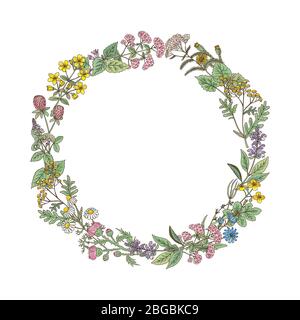 Couronne d'herbes et de fleurs dessinées à la main Illustration de Vecteur