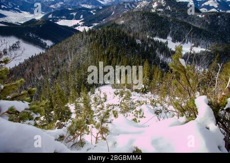 Vue depuis la roche jutting sous le pic de Salatin, Slovaquie Banque D'Images