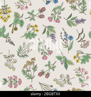 Motif sans couture de diverses herbes et fleurs dessinées à la main Illustration de Vecteur