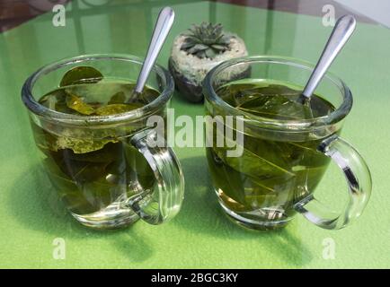Thé de coca dans des tasses de verre, fait à partir de feuilles séchées de la plante de coca, qui est originaire de l'Amérique du Sud Banque D'Images