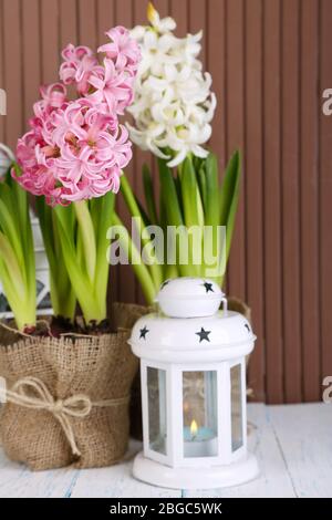 La jacinthe fleurit dans des pots sur la table sur fond en bois Banque D'Images