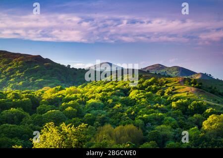 Belle soirée en mai avec lumière du soleil dorée sur les collines de Malvern dans Worcestershire et Herefordshire West midlands Banque D'Images