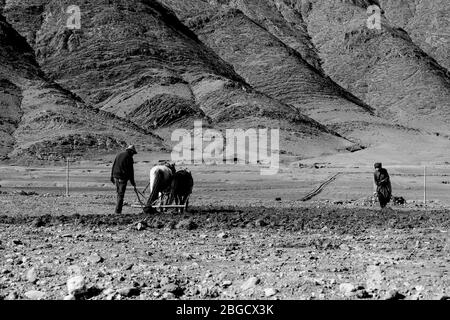 Paysage de Voyage au nord de Lhasa à Damshung, Tibet. Le printemps, et les gens labourage et travaillant dans les champs Banque D'Images