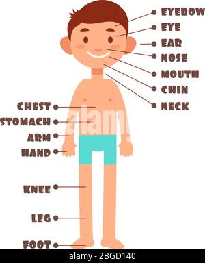 Garçon de dessin animé. Parties du corps pour enfants avec jeu de vecteurs de vocabulaire anglais. Illustration du menton et du pied, de la main et de la tête, du nez et de la jambe pour les enfants Illustration de Vecteur