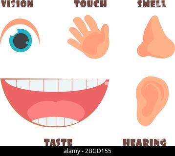 Les sens humains sont des icônes vectorielles de dessins animés avec des symboles oeil, nez, oreille, main et bouche. Goût humain et illustration sensorielle Illustration de Vecteur