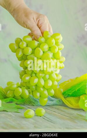 Gros plan sur les mains des travailleurs avec du raisin blanc Banque D'Images