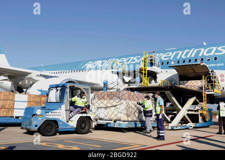 (200421) -- BUENOS AIRES, 21 avril 2020 (Xinhua) -- les membres du personnel déchargent les fournitures médicales d'un avion charter à l'aéroport international d'Ezeiza à Buenos Aires, Argentine, 20 avril 2020. L'Argentine a reçu une cargaison de 14 tonnes de fournitures médicales de la Chine pour aider à lutter contre la nouvelle pandémie de coronavirus, a annoncé lundi le bureau du président du pays. (Ministère des transports de l'Argentine/document de travail via Xinhua) Banque D'Images