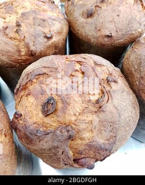 Panettone, gâteau de Noël italien traditionnel avec œufs, raisins secs, fruits confits et amandes Banque D'Images