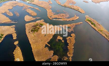 Drone se tirant directement au-dessus des îles et du delta de la rivière. Vue sur les oiseaux. Banque D'Images