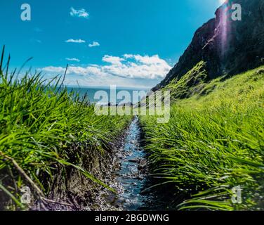 Une route vers la mer avec des skys bleus, de l'herbe verte et une flaque boueuse. Banque D'Images