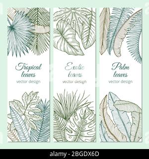 Plantes tropicales avec différentes feuilles et branches. Jeu de bannières avec place pour votre texte Illustration de Vecteur