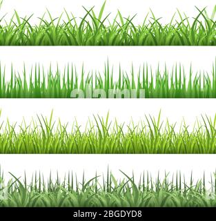 Herbe de champ verte. Ensemble de motifs vectoriels horizontaux transparents Illustration de Vecteur