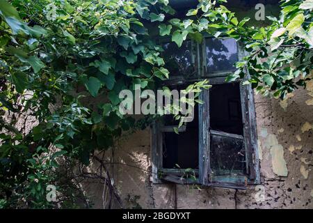 Ancienne ferme très orné et en Voïvodine. Banque D'Images