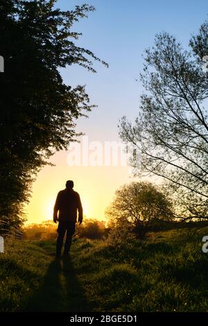 Homme marchant le long d'un chemin de remorquage près du canal d'oxford au lever du soleil. Oxfordshire, Angleterre. Silhouette Banque D'Images