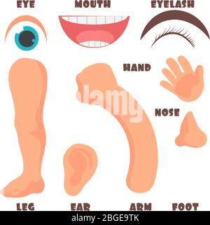 Parties du corps de bébé de dessin animé avec jeu vectoriel de vocabulaire anglais. Illustration du bébé du corps humain, anatomie du visage des enfants Illustration de Vecteur