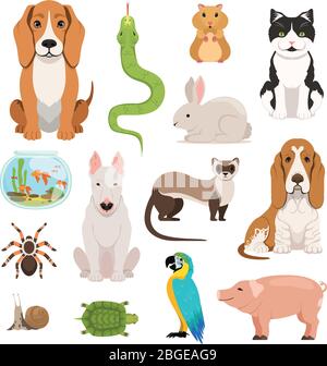 Grand ensemble vectoriel de différents animaux domestiques. Chats, chiens, hamster et autres animaux de compagnie dans le style de dessin animé Illustration de Vecteur