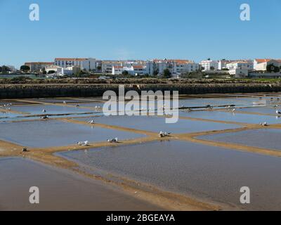 Vue panoramique sur une poêle à sel de Tavira en Algarve, au Portugal Banque D'Images