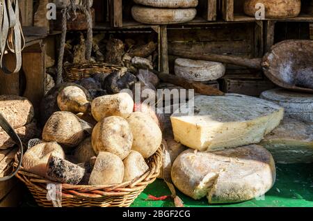 Fromage dur sur un marché de rue à Turin, Italie Banque D'Images