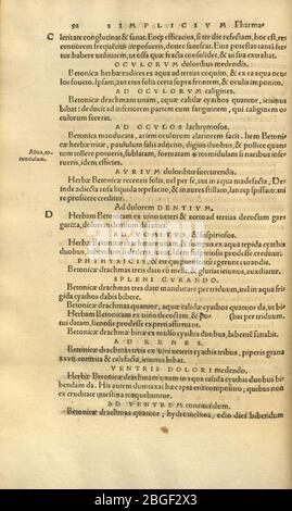 Herbarivm OTH. Brvnfelsii ... exacto tandem studio, opéra et ingéniio, candidatures medicinae simplicis absolutum (page 88) Banque D'Images